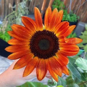 Meet your Posher, Raquel